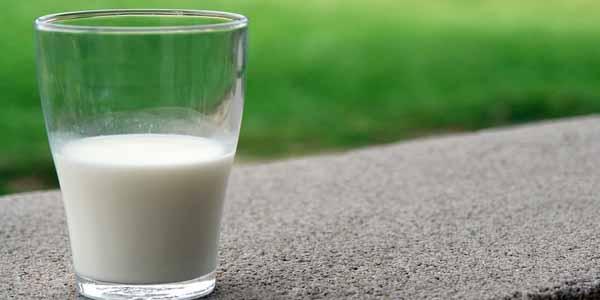 कच्चा दूध पीने के क्या फायदे हैं?1