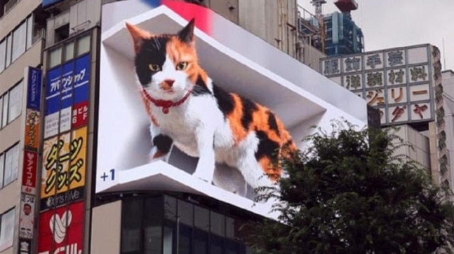 एक विशालकाय बिल्ली ने टोक्यो पर कब्जा कर लिया है।  क्या आपने वायरल वीडियो देखा है?