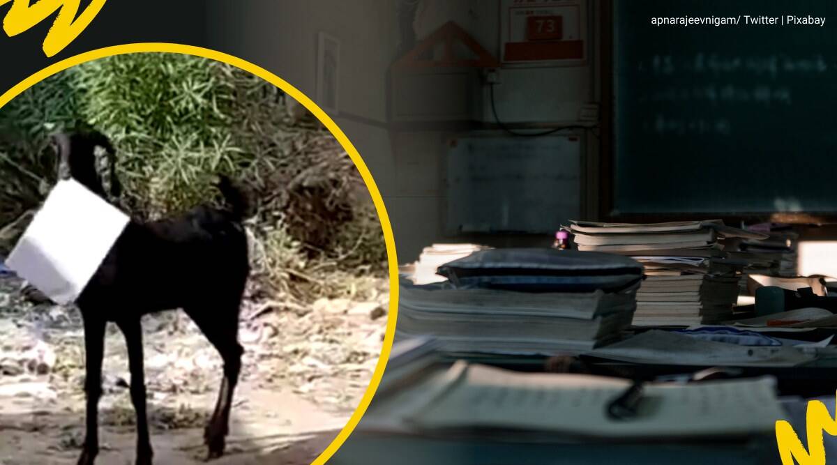 goat-flee-kanpur-documents.jpg, देखें: कागज लेकर भागे बकरी का पंचायत कर्मचारी ने किया पीछा