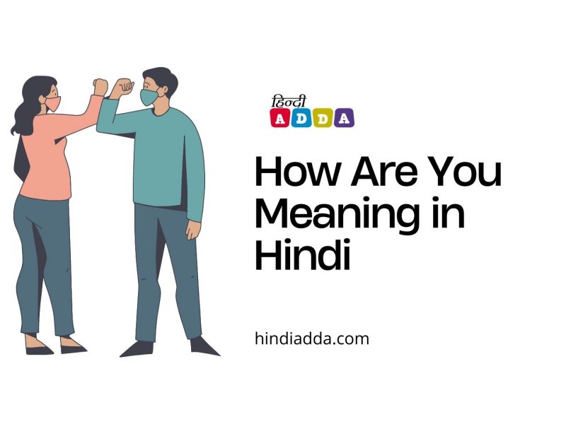 How Are You Meaning in Hindi